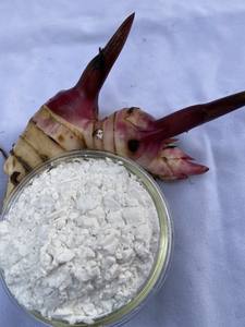 Almidón de arrowroot de la mejor calidad, harina en polvo blanco, tipo nativo de Vietnam. - Product Image 3