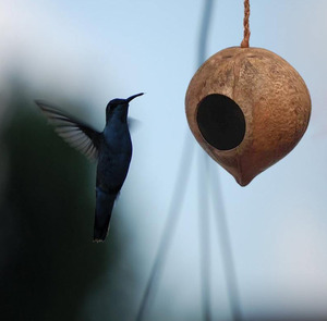 Filets à oiseaux suspendus d'extérieur, fait à la main, écologique en coquille de noix de coco, livraison gratuite - Product Image 2