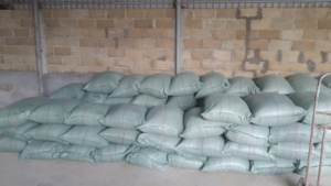 POLVO DE CONCHA DE CAMARÓN para FERTILIZANTE / POLVO DE CONCHA DE CAMARÓN para ALIMENTACIÓN - Product Image 6