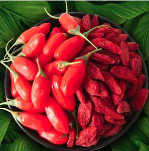 Baya de Goji orgánica certificada de alta calidad, venta completa, proceso de secado de anuncios a granel secos dulces, descuento ahora - Product Image 2