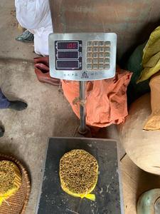 แท่งอบเชยศรีลังกา8-10ซม. ต้นพืชใหม่ขี้เหล็กเวียดนาม - Product Image 5