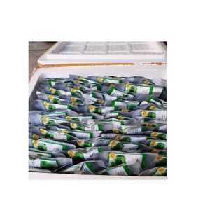 ที่ผ่านการรับรองส่งออกอินทรีย์ทะเลองุ่น Caulerpa Lentillifera องุ่นสาหร่ายราคาที่แข่งขันขายร้อน - Product Image 6