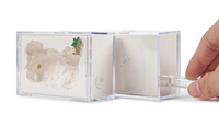 Empire of Ants - Boîte d'observation pour fourmis écologique classique, 8,5x6x4cm, toutes saisons, cage en plastique durable pour animaux de compagnie