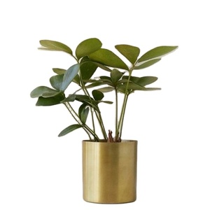 Medium Size Golden Brass <b>Flower</b> Pot <b>for</b> Garden and Outdoor and Hall Decorative Brass <b>Flower</b> Pot Best Polished and <b>Sale</b> - Product Image 1