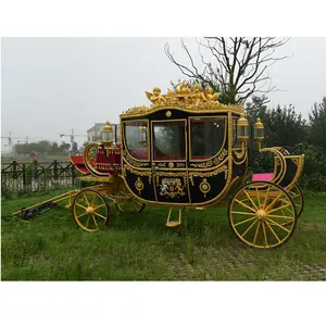 Sightseeing horse carriage touring coaches
