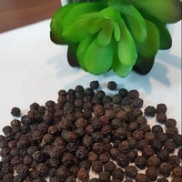 Meilleur Prix Poivre de Cayenne Séché Frit Épicé AD de Haute Qualité Certifié GMP Marque Agrikim Prêt à Consommer Aliment Végétalien du Vietnam Livraison Rapide