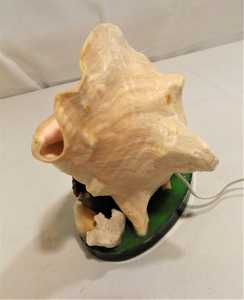 Lámpara de conchas marinas para decoración del hogar, lámpara de artesanía hecha de conchas marinas al mejor precio - Product Image 6