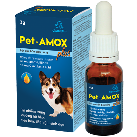 Highly Veterinary Vietnam - Effective Palatable Drops for The Control of Infections in Dogs and Cats, Pet - Amox Plus