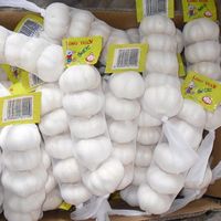 Ail frais pelé blanc de haute qualité 1 kg 5 cm Afrique du Sud Durée de conservation de 2 ans Meilleur prix en promotion