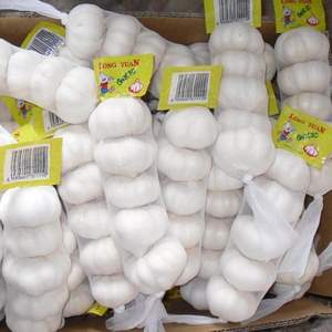 Ail frais pelé de haute qualité 1 kg 5 cm Afrique du Sud Meilleur prix en promotion - Product Image 2