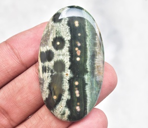 แคสเปอร์หลังเบี้ยโอเชียน - Product Image 3