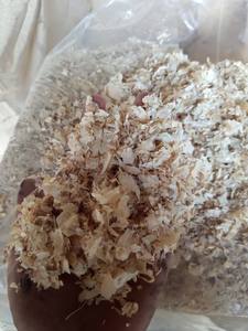 ไม้สนขี้เลื่อย100% ไม้สนธรรมชาติไม้โกนสำหรับม้าเตียง - Product Image 4