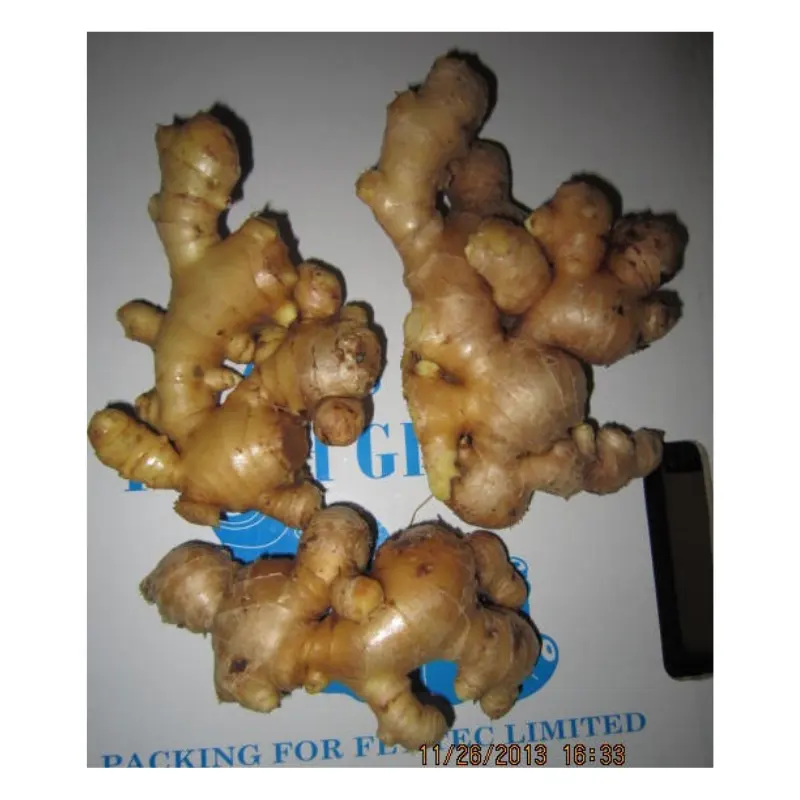 Fresh Natural Young Ginger All Round Year With Competitive Price