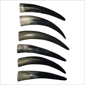 Bocina de vaca sin procesar, producto caliente, producto con cuerno natural y pulido, el mejor color - Product Image 5