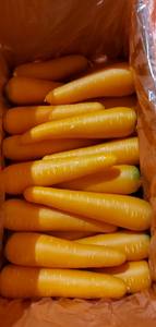 ราคาที่สมเหตุสมผล100% แครอทสดบริสุทธิ์จากธรรมชาติส่งออกในเวียดนาม/เซรีน่า - Product Image 2