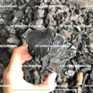 MACHINE À CHARBON DE BOIS DUR DE HAUTE QUALITÉ EN BOIS BARBECUE CHARBON de bois, MEILLEUR CHARBON DE BOIS BARBECUE, FRUITS DU CHARBON DE bois EN Hamad Ville BAHREÏN - Product Image 1