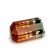Pierre de bio-tourmaline naturelle certifiée IGI Pierres précieuses rares taillées dans un octogone à facettes Grossiste Boutique en ligne à Prix de revendeur Usine de bricolage