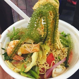 Algues marines, raisins de mer, caviar vert mariné, latô umibudo, algues grillées (PITA +84 797987481) 99 Gold Data - Product Image 3