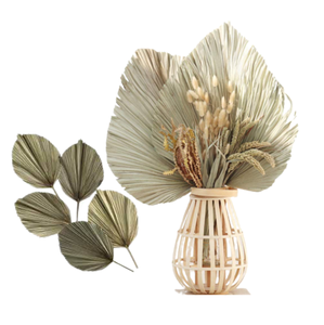 Hoja de dolor de diseño lujoso, material natural de Palma lisa, ingeniería para Multi espacio, calidad Premium, en 99 dorado, proveedor de datos - Product Image 5