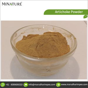 Polvo Herbal de alcachofa pura y Natural de la India, excelente calidad, venta global, venta al por mayor - Product Image 2