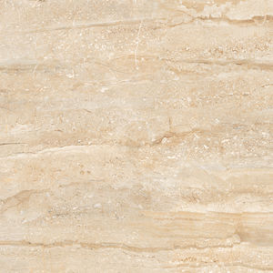 Premier choix 600x600MM Carreaux de porcelaine polis Dernier style classique pour murs intérieurs de salle de bain Prix de gros en Inde - Product Image 4