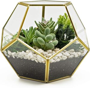 Geometric shape copper air plant terrarium - Product Image 2