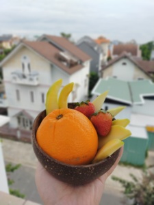 Cuenco de cáscara de coco artesanal, varias formas, venta al por mayor, producto de desecho agrícola de Vietnam - Product Image 3