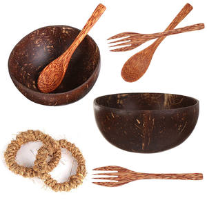 Ensemble de bols en coquille de noix de coco végétalien naturel en gros avec logo gravé jetable cuillère pour le camping fabriqué au Vietnam - Product Image 4