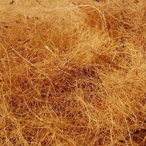 ใยมะพร้าวราคาถูก 100% ใยมะพร้าวธรรมชาติแบบก้อน จำนวนมาก เหมาะสำหรับสัตว์เลี้ยง ใช้ในงานเกษตร ปลูกพืช แหล่งกำเนิดจากปปรินซี จาวา เตงาห์ - Product Image 6
