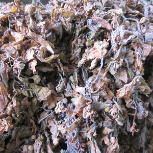 สาหร่ายทะเลแห้งคุณภาพสูงสำหรับการผลิตปุ๋ย บรรจุในถุง +84 904 183 651 - Product Image 5