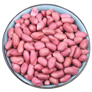 Peanuts de pele vermelha 50/60 60/70/java peanut/cru peanut para manteiga e consumo humano