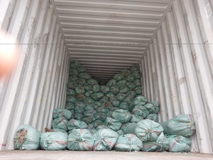 Palos de escoba de coco, superventas/palos de escoba NIPAH (Lee Tran + 84987731263) - Product Image 4