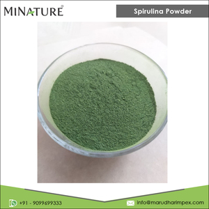 ผู้ผลิตอินเดียของอุปทานขายส่งที่มีคุณภาพสูงบริสุทธิ์และธรรมชาติสาหร่ายเกลียวทองผงสมุนไพรสำหรับการซื้อจำนวนมาก - Product Image 2