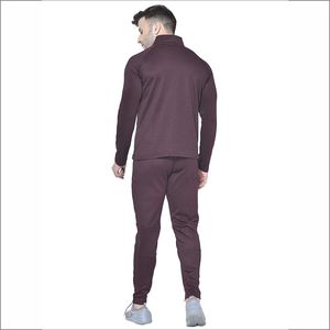 Nouvelle mode couleur assortie Logo personnalisé costume de sport de qualité supérieure hommes grand et grand sweat à capuche polaire 2 pièces survêtement Service OEM - Product Image 2
