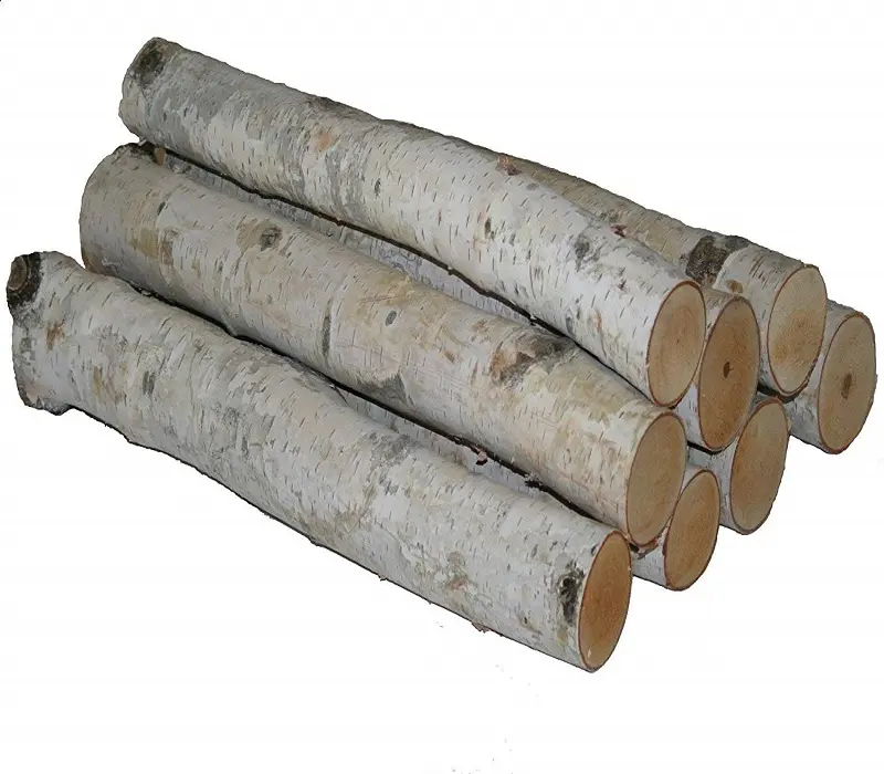 उच्च गुणवत्ता चिनार लकड़ी लॉग चिनार लॉग प्राकृतिक गैस लॉग