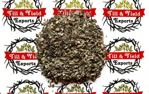 <span class=keywords><strong>Neem</strong></span> Tea /<span class=keywords><strong>Neem</strong></span> Tea -Vaccum Pack & Loose Packing Cải Thiện Chất Lượng Tóc Trà <span class=keywords><strong>Neem</strong></span> Được Coi Là Cực Kỳ Tốt Cho Tóc - Product Image 3