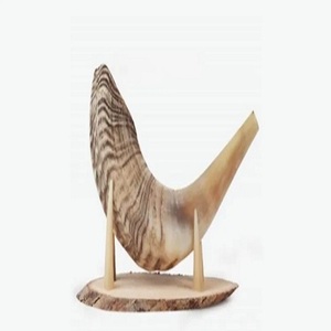 สินค้ามาใหม่100ชิ้นทำด้วยมือธรรมชาติแกะฮอร์น shofar แบบดั้งเดิมขัดเงาสไตล์สัตว์เป่าแตรทางศาสนางานฝีมือตามธรรมชาติ - Product Image 4