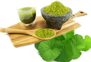 100% ส่วนผสมจากธรรมชาติผลิตผง Gotu Kola สำหรับเครื่องสำอาง - Product Image 3