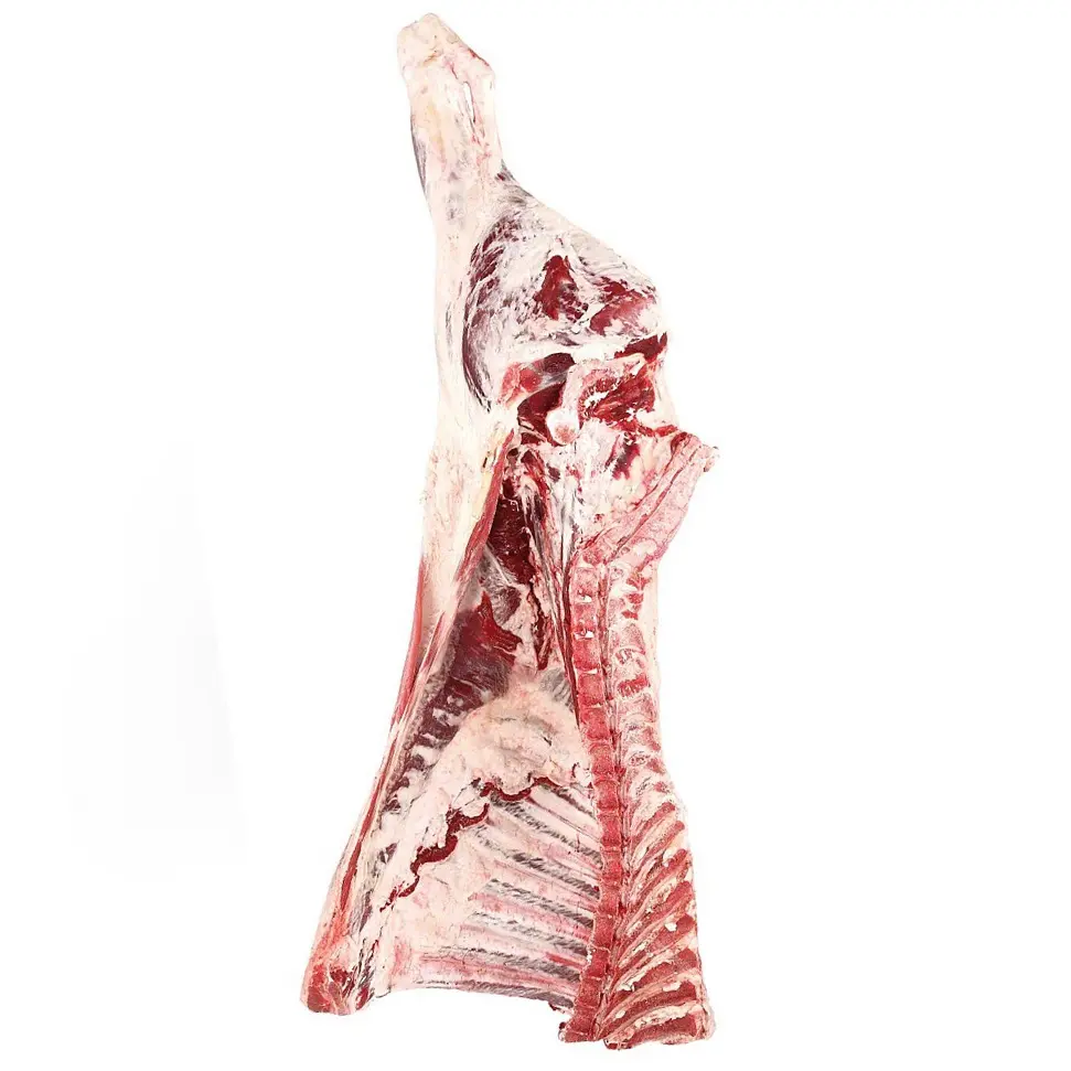 Carne congelata/frattaglie di manzo/carne di bufalo, carne di montone di agnello di pecora di manzo congelata HALAL per esportazione