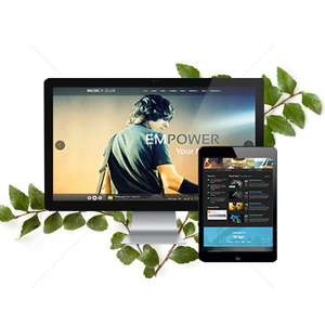 Music eCommerce Website design & Development Company in India | Award Winning eCommerce Website Development Services by Webroot - Product Image 6