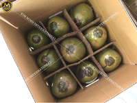 Boisson tropicale à haute teneur en noix de coco, original du VIETNAM avec certificat ISO, STYLE d'emballage, WHATSAPP 0084 981 144, 196