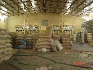 Pienso de Salvado de Trigo en Pellets para Ganado, Alimento a Base de Granos con 3 Años de Vida Útil, Empaque de 25 kg - Product Image 5