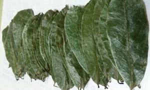 Feuilles de corossol séchées aux herbes biologiques // Graviola Leaf-Produit du Vietnam - Product Image 6