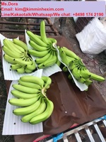 De Premium Verse Banaan Canvendish Van Viet Nam Voor Verkoop/Hot Selling 2022 Verse Banaan Cavendish