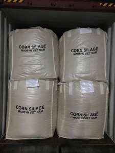 Vente en gros GIA NGUYEN SILAGE SR-CSG1203-03 de déchets agricoles d'ensilage de maïs du Viet Nam pour l'exportation - Product Image 5