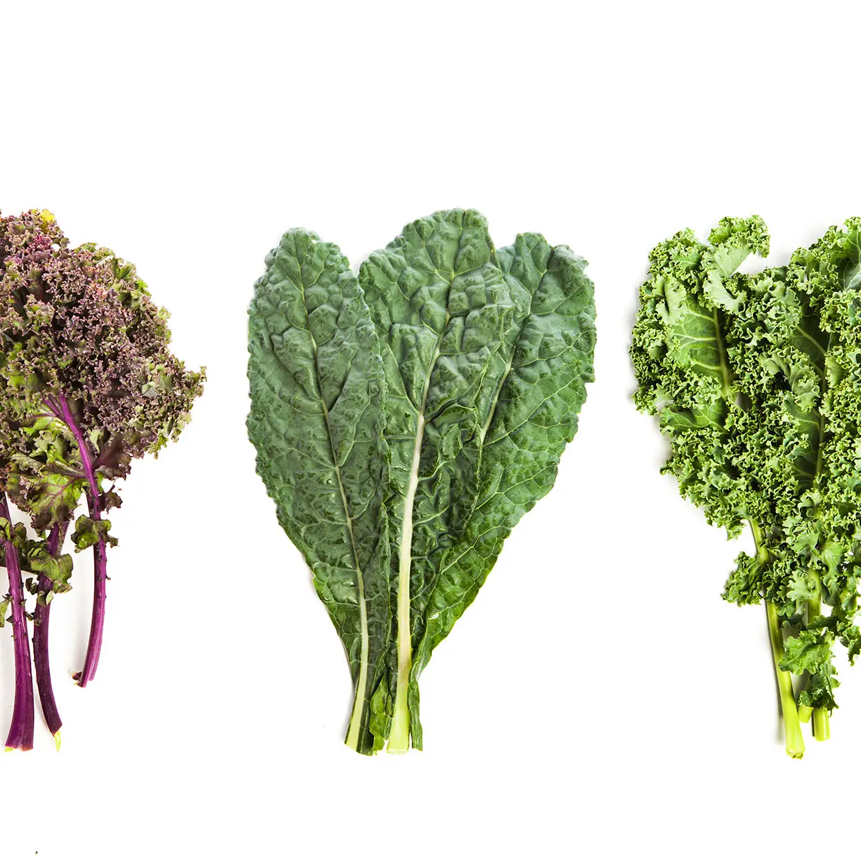 IQF-verduras kale verdes frescas, alta calidad, para la exportación