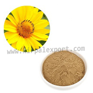 Comprar fabricante de proveedor de color de cabello natural orgánico triple refinado desplazado fino Arnica Montana - Product Image 4