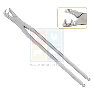 Pinzas Dentales Equinas de Tres Puntas, 19 Pulgadas de Largo, Acero Inoxidable Forjado - Product Image 1
