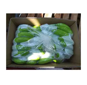 Best quality fresh green cavendish banana/ fresh banana prices from Vietnam