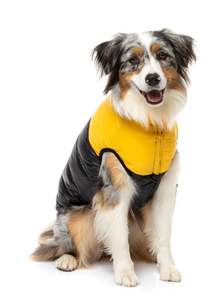 East Harlem Veste d'aventure confortable pour chiens Vêtements recyclés pour animaux de compagnie en jaune - Product Image 4